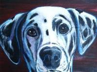 Sparks (Dalmation), 10x8, $170