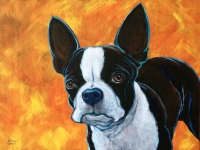 Skipper (Boston Terrier), 12x16