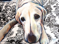 Indy (Yellow Labrador Retriever), 18x24