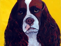 Maggie (Cocker Spaniel), 12x12