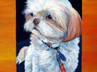 Mooia (Shih Tzu), 20x16