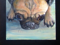 OhNo! (Pug), 12x12