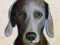 Patience (Weimaraner), 12x12