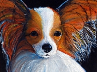 Petite (Papillon), 12x12 $200