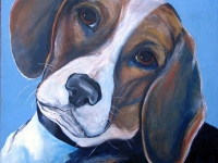 Rene (Beagle), 12x12