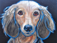 Rolf (Long-Haired Dachshund), 12x12, $200.