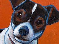 Roscoe (Fox Terrier), 5x5