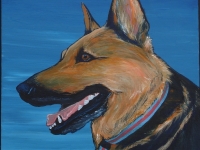 Scout (German Shepherd), 12x12