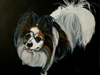 Skywalker (Papillion), 16x20