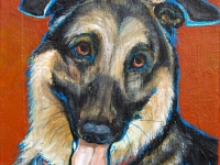 Tosh (German Shepherd), 5x5