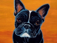 Toulouse (French Bulldog), 14x11, $200