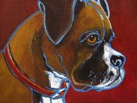 Wilma (Boxer), 5x5, $60