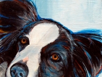 Yeardley 5 (Border Collie), 12x12