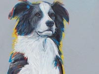 Yeardley 6 (Border Collie), 24x12