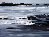 Laguna Beach, CA 2, 24x48